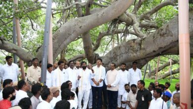 TRS MP announces Rs 2 cr for preserving Mahabubnagar's 'Pillalamarri'