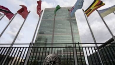 Online government services improve, digital divides remain: UN survey