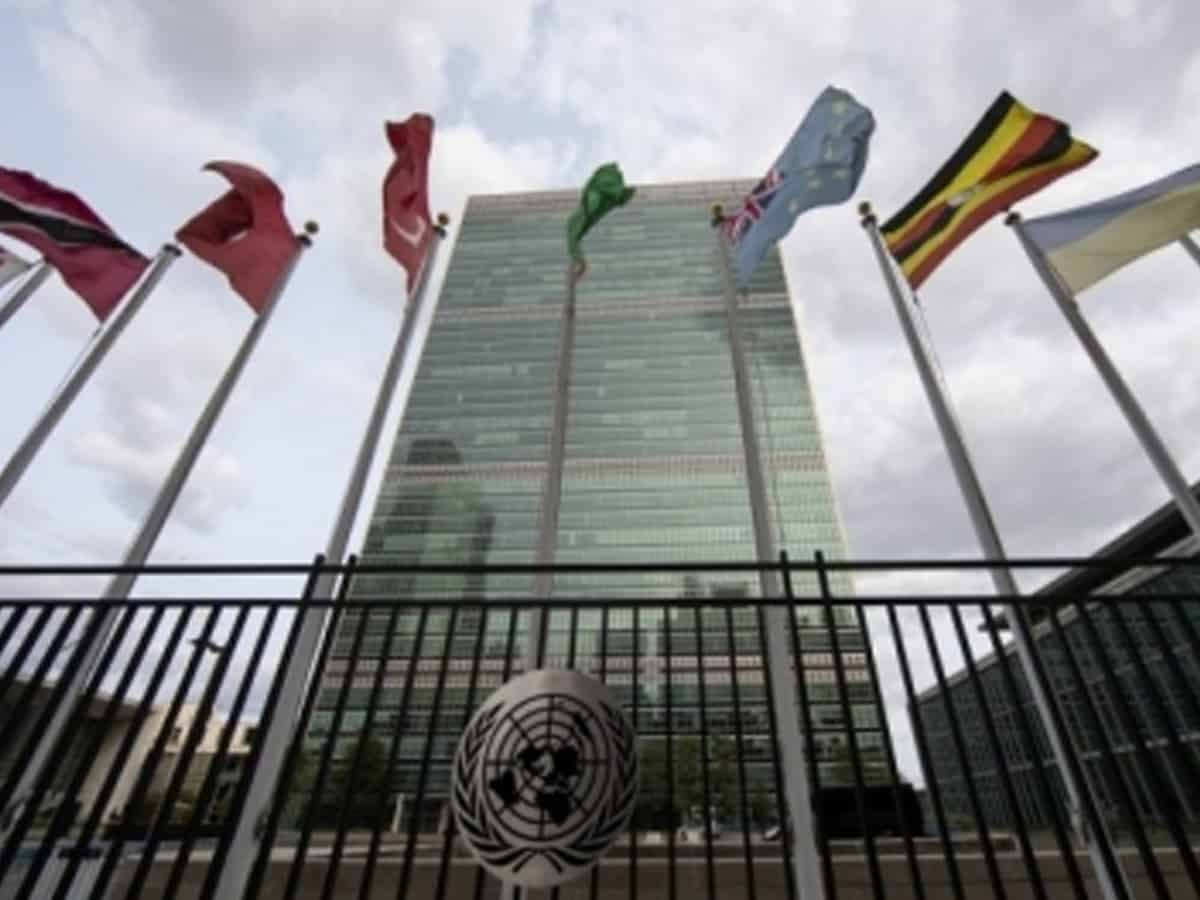 Online government services improve, digital divides remain: UN survey
