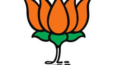 BJP wins 417 out of 814 seats in MP local body elections