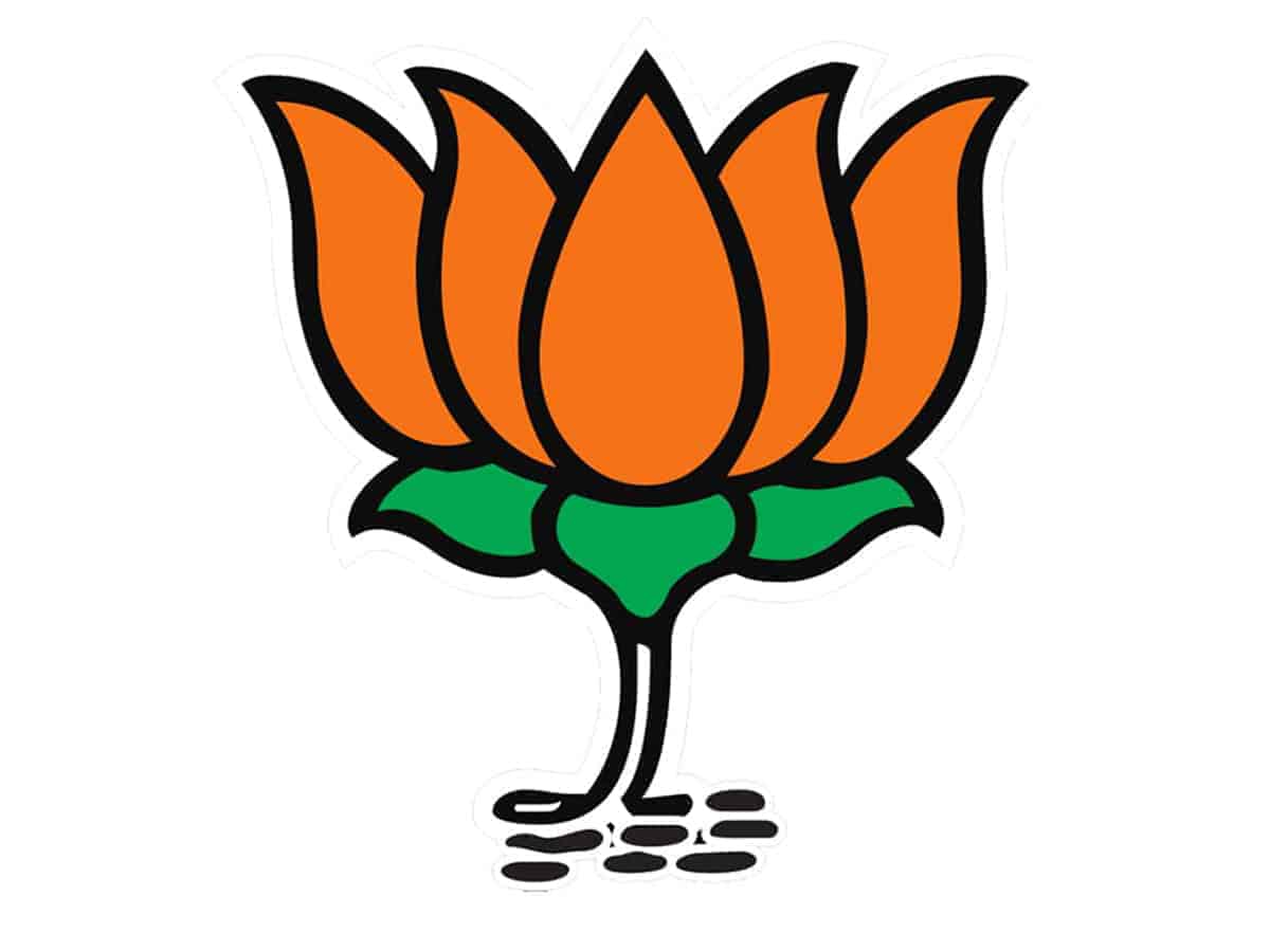 BJP wins 417 out of 814 seats in MP local body elections