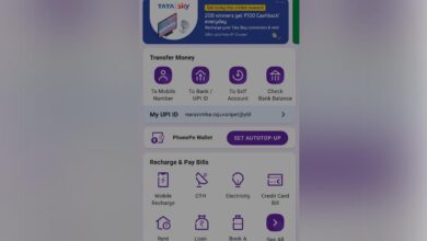 PhonePe's 'Golden Days' to make Dhanteras exciting for users