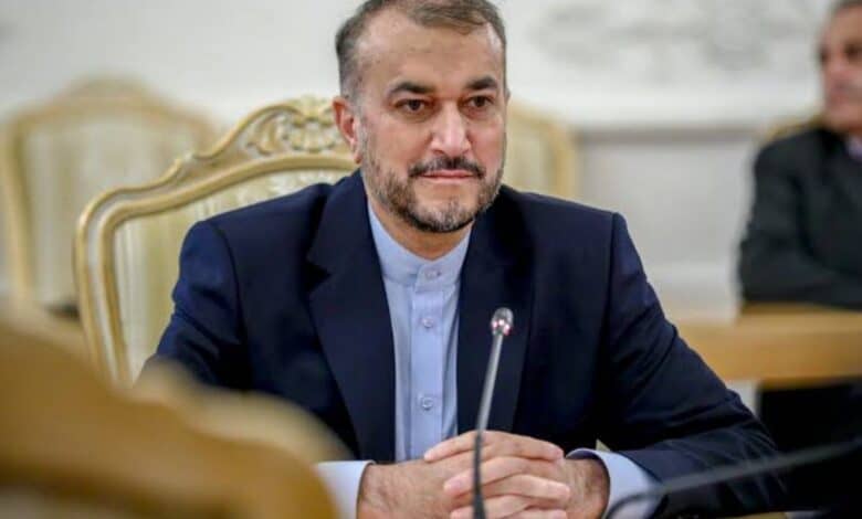 Iran vows to continue efforts for nuke talks' conclusion