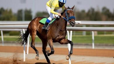 In a first, Saudi woman obtain female jockey license