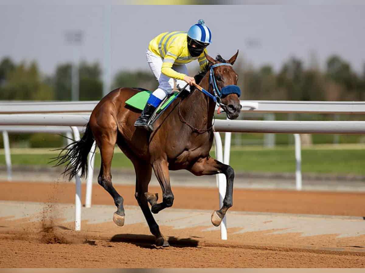 In a first, Saudi woman obtain female jockey license