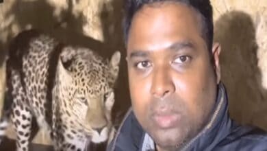 Andhra doctor appeals to India to rescue his pet jaguar from Ukraine