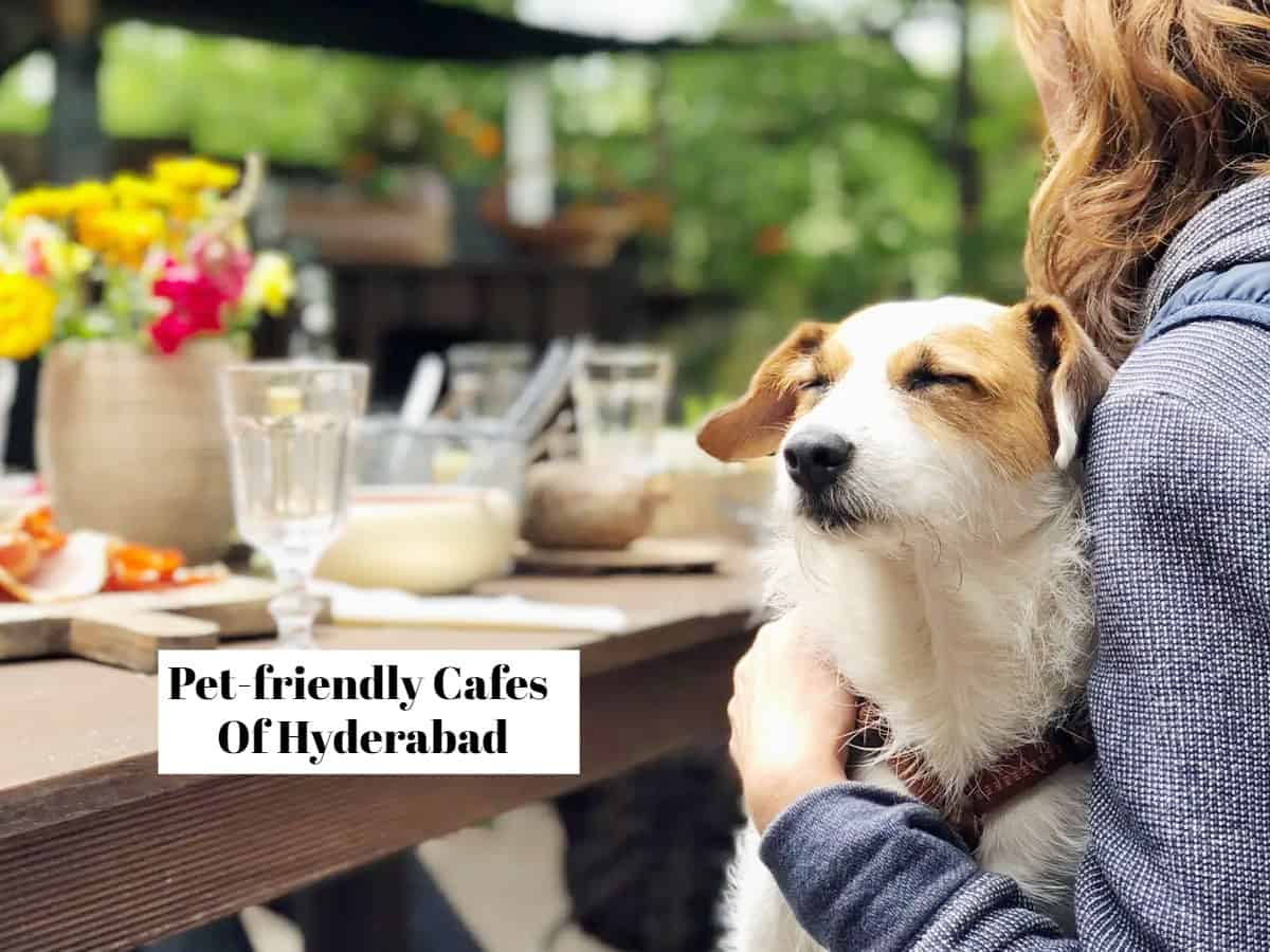 6 Handpicked Pet friendly cafes in Hyderabad