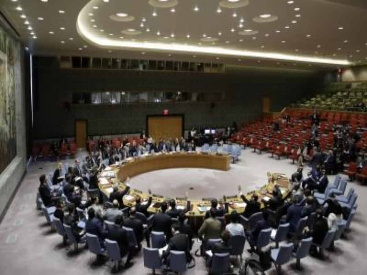 UN Security Council condemns attack on UN peacekeepers in Mali