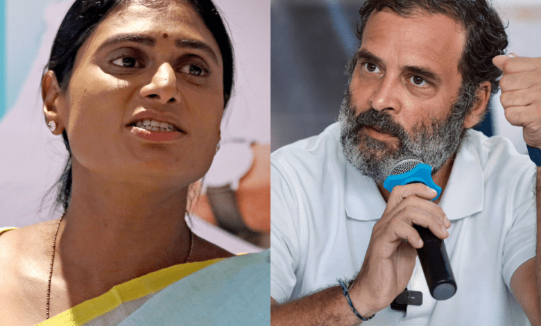 Rahul Gandhi condemns threats to AP Congress chief Y S Sharmila