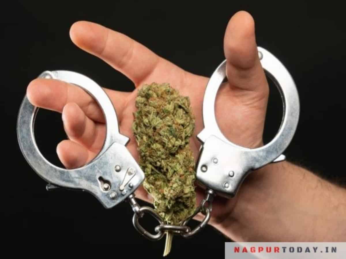Peddling racket busted in Kachiguda, 114 kg ganja seized