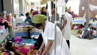 Bangladesh sees highest daily spike of 8 dengue deaths