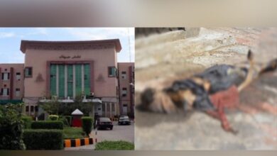 Pak hospital blames police, rescue officials for decaying bodies on rooftop