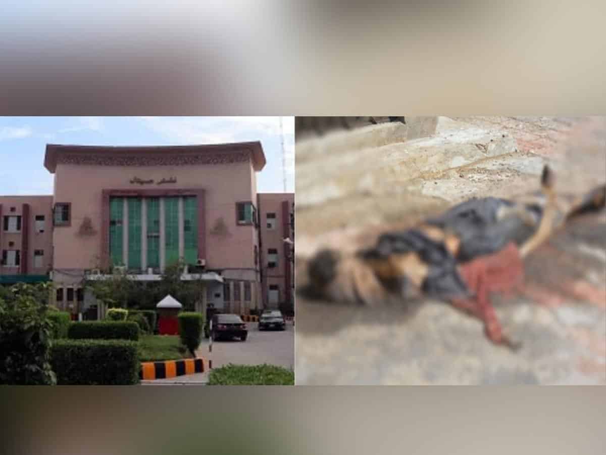 Pak hospital blames police, rescue officials for decaying bodies on rooftop