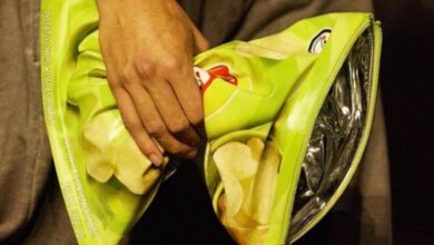 Wait, What? New Balenciaga Bag is a packet of Lay's chips!