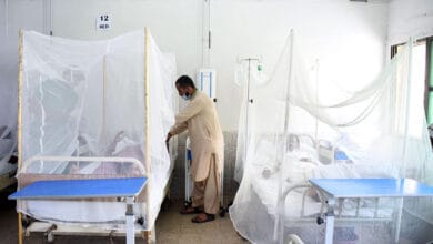 Dengue fever cases keep surging in Pakistan
