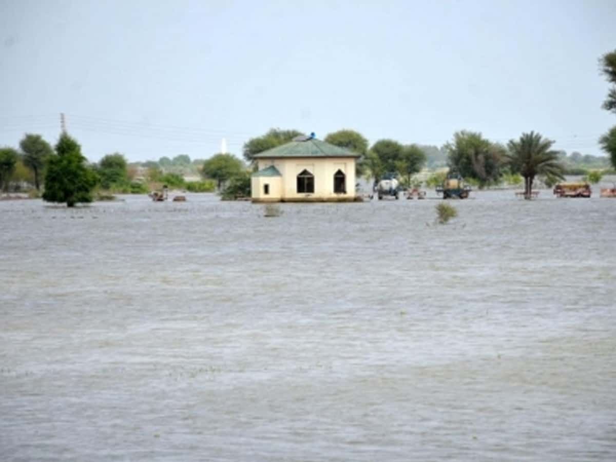 UNGA adopts resolution on solidarity with flood-hit Pakistan