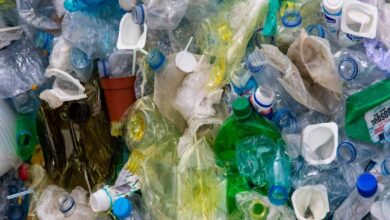 Pay fees with plastic waste! How a Bihar school is cleaning up a village