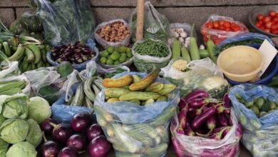 PMKSY cold chain scheme cuts wastages in vegetables, dairy, fisheries