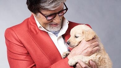Amitabh Bachchan mourns death of his pet dog, shares emotional note