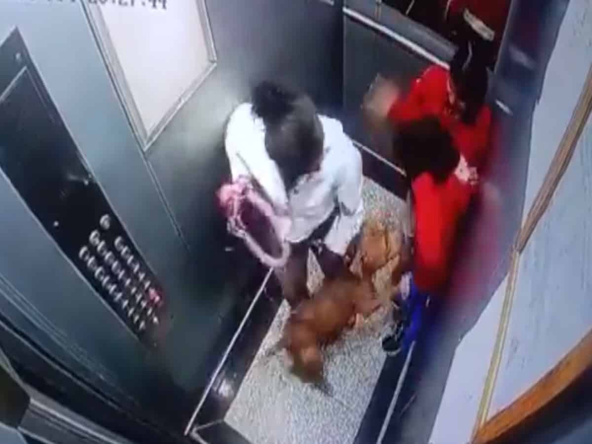 Noida: Dog attacks children in lift, video surfaces