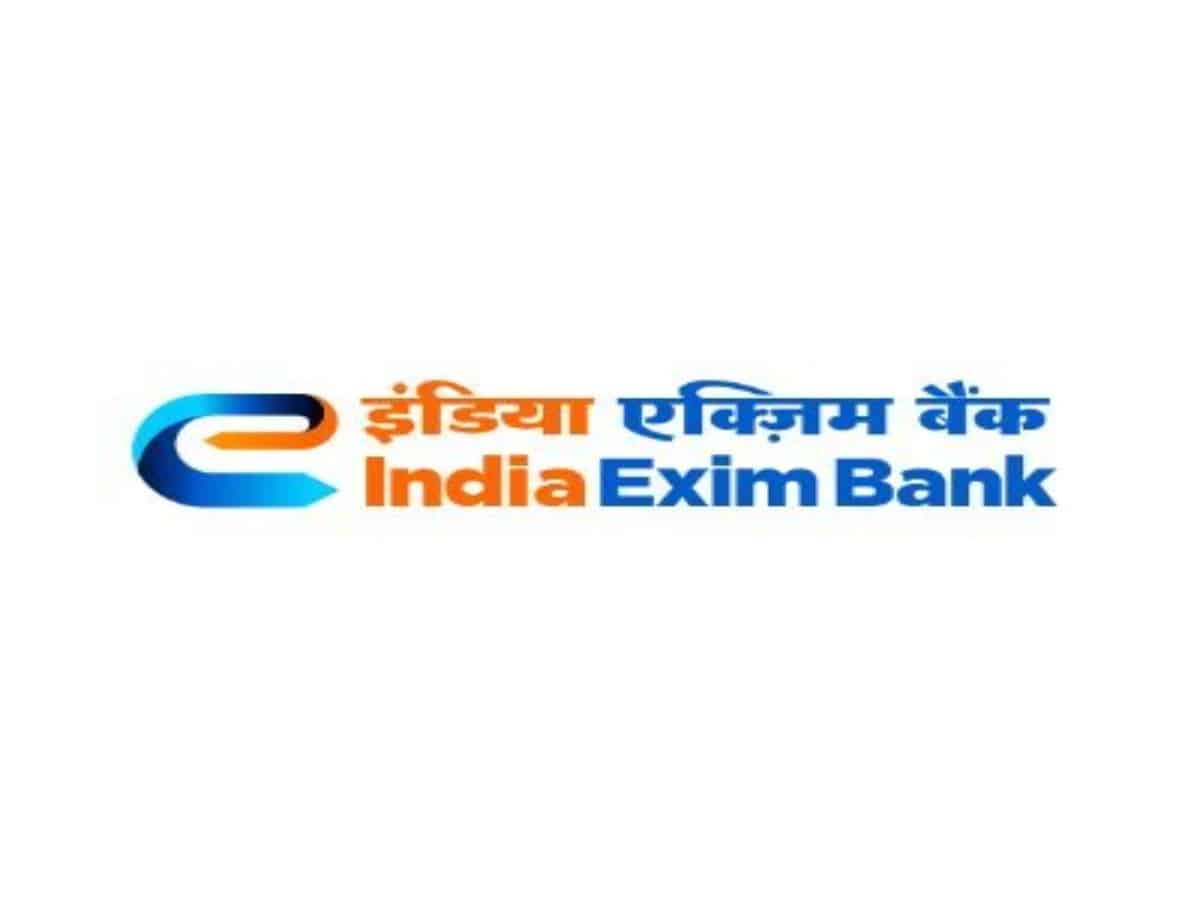 India should leverage southern Africa’s rare earth mineral resources: Exim Bank report