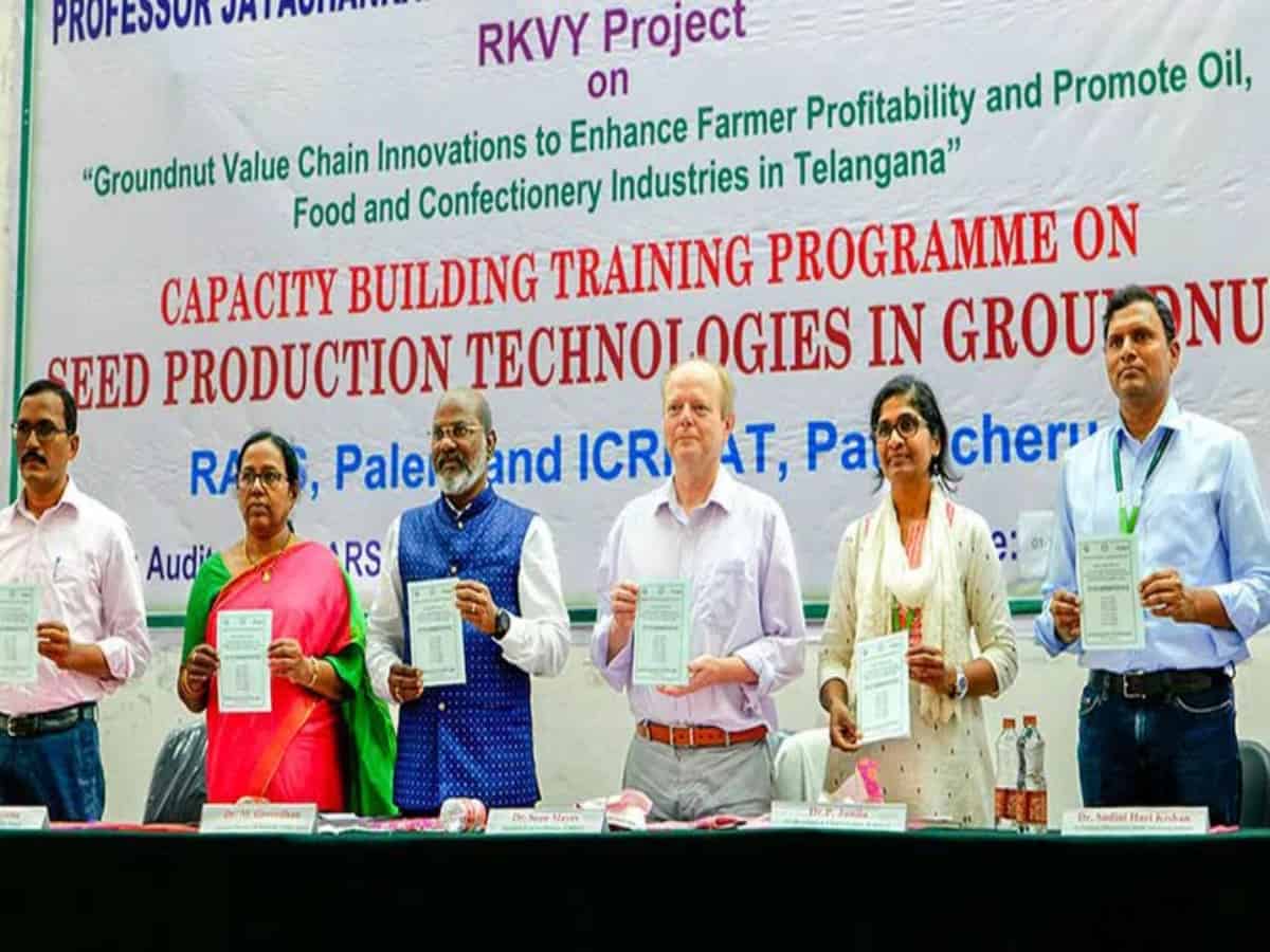 Telangana: ICRISAT, PJTSAU collaborate to boost groundnut production across state