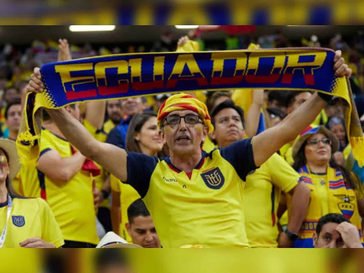 Video: Eucador fans chant 