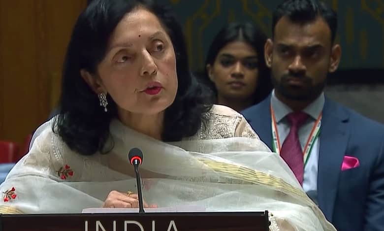 Countries using cross-border terrorism should be held accountable: India