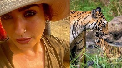 Probe launched after Raveena Tandon's tiger video goes viral