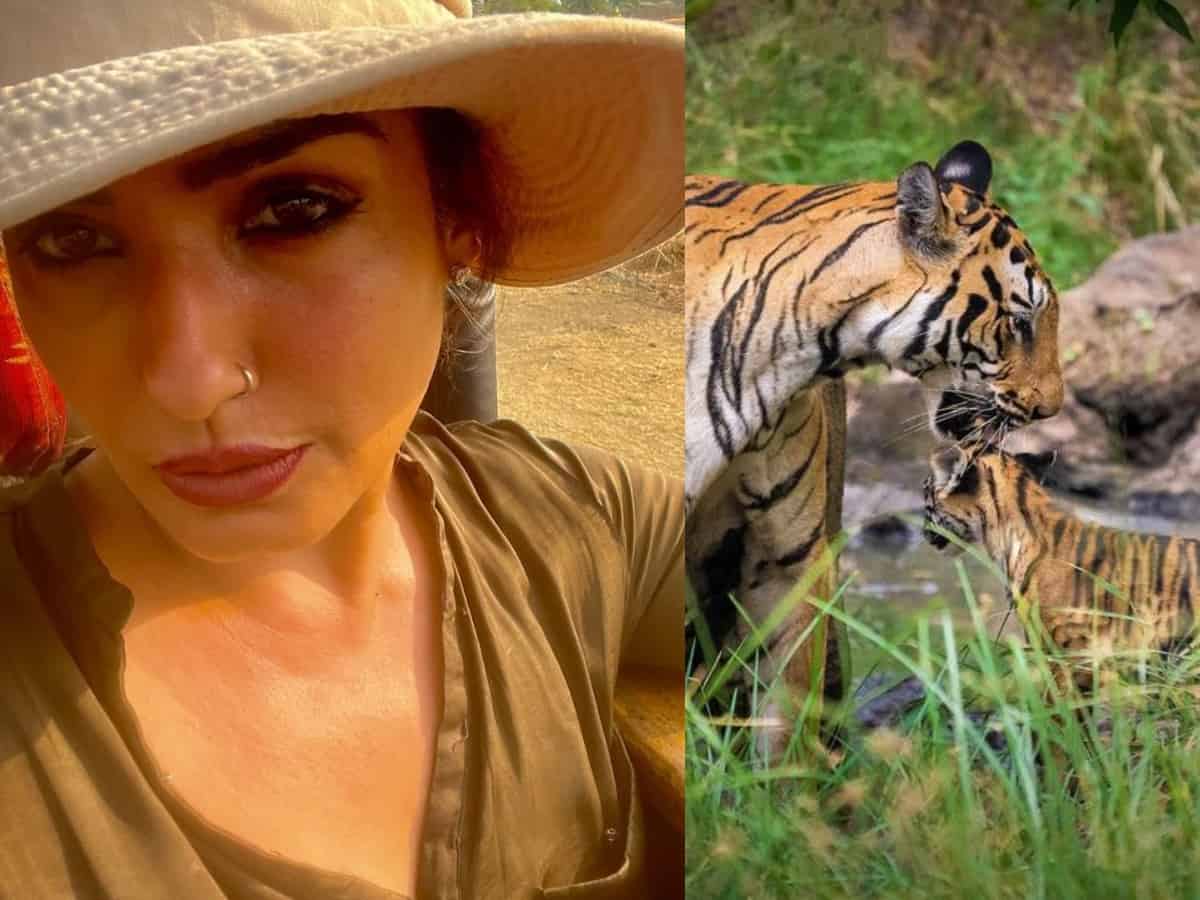 Probe launched after Raveena Tandon's tiger video goes viral