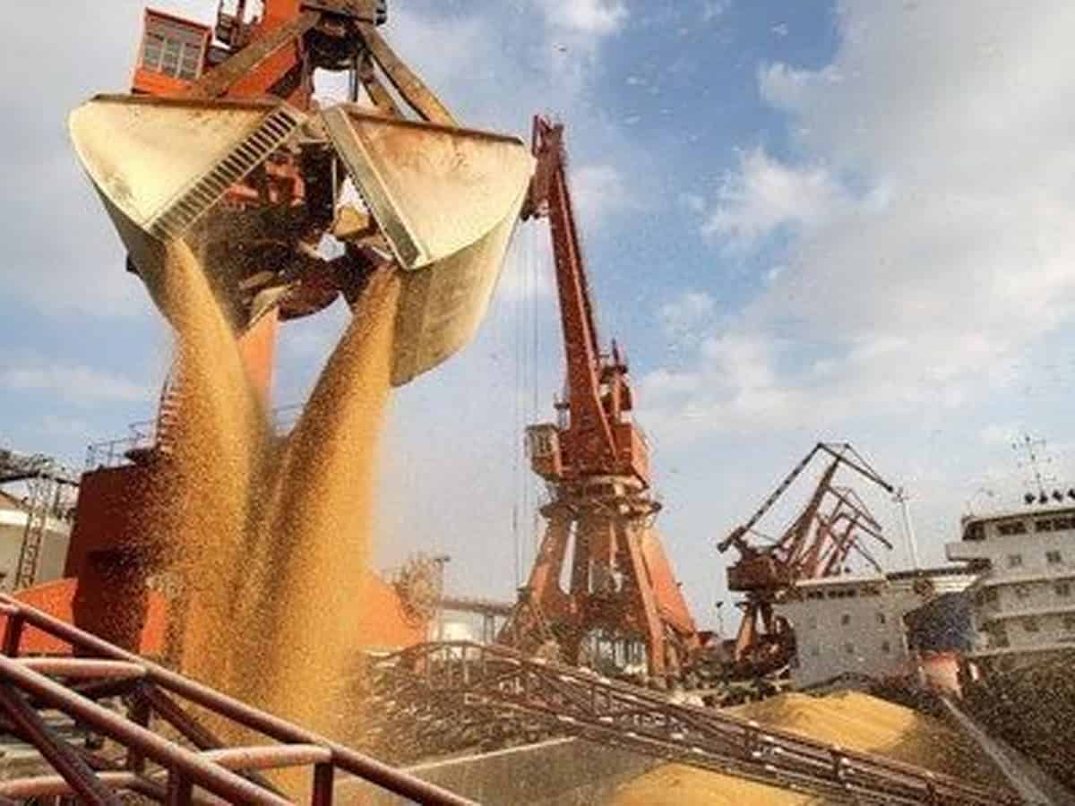 Ukraine seeks to extend Black Sea Grain Initiative by a year