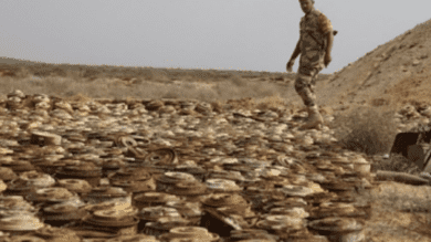 Saudi project clears 1,045 mines within week in Yemen