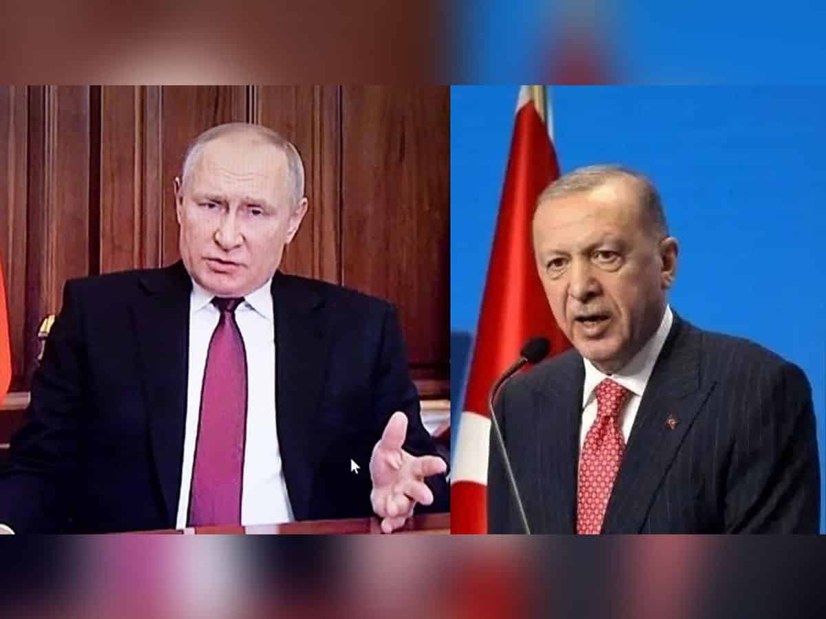 Putin, Erdogan discuss gas hub, grain export deal