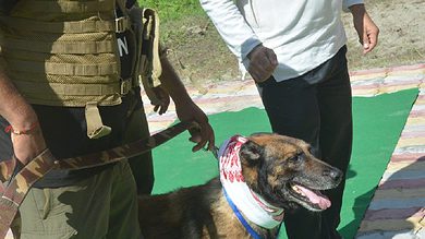 Zorba, India's first dog on anti-poacher duty, dies in Guwahati