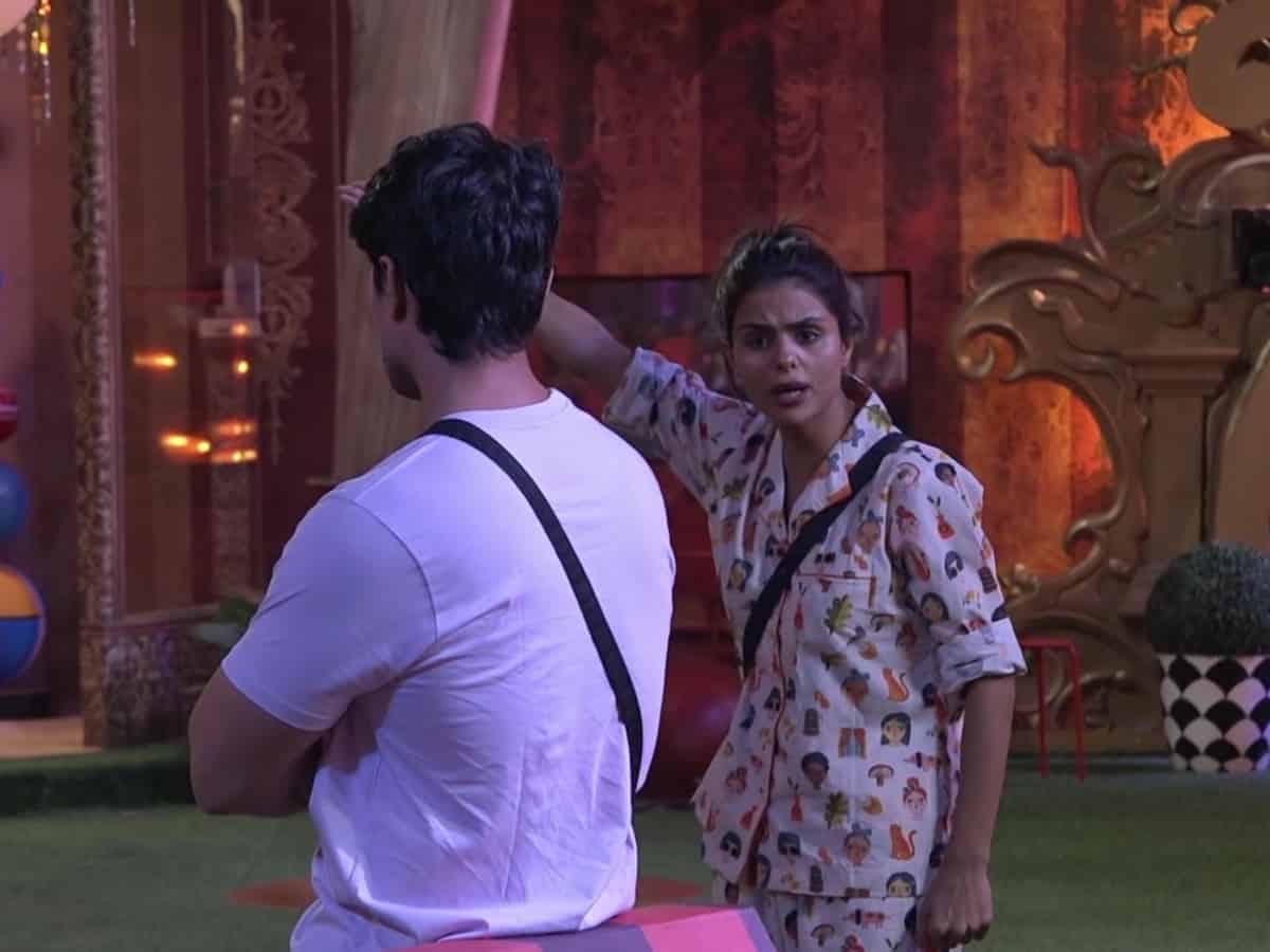 Bigg Boss 16: 5 contestants nominated; Ankit Gupta enters list