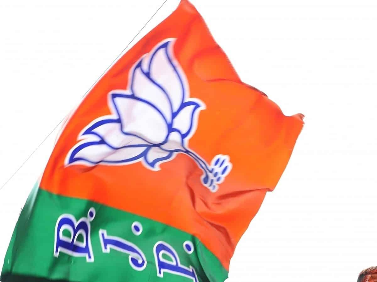 Railway station stampede: Delhi BJP calls off scheduled engagements