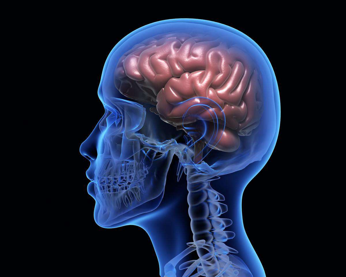 MRI shows significant brain abnormalities post-COVID: IIT Delhi study