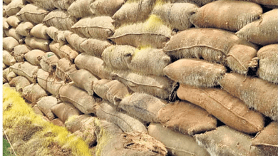 Telangana 26 lakh tonnes paddy procured for Vaanakalam so far