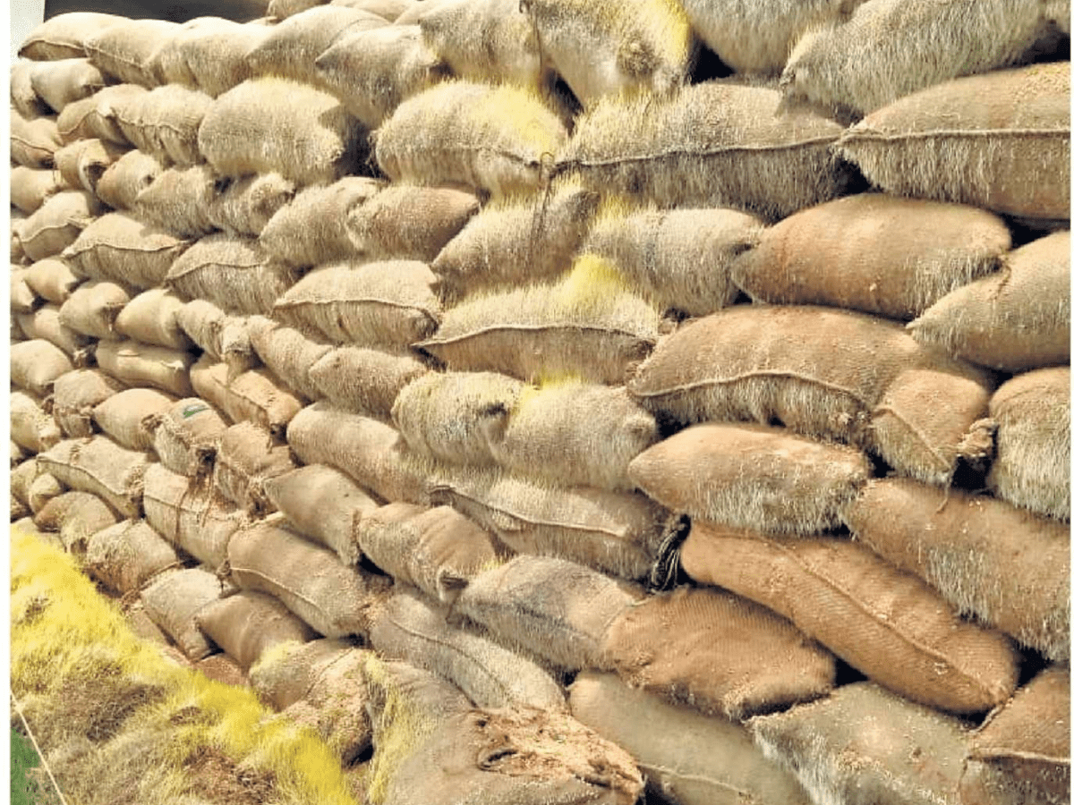 Telangana 26 lakh tonnes paddy procured for Vaanakalam so far