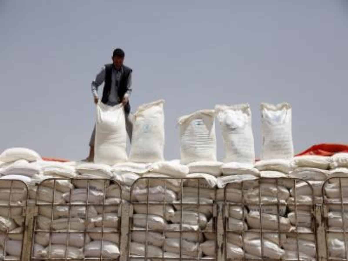 FAO receives World Bank grant to support resilience projects in Yemen