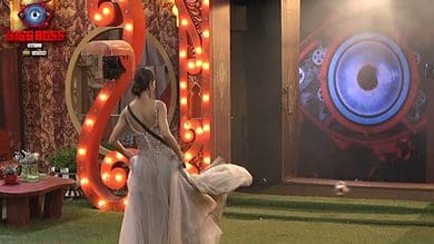 2 Wild card entries in Bigg Boss 16 this week, check names