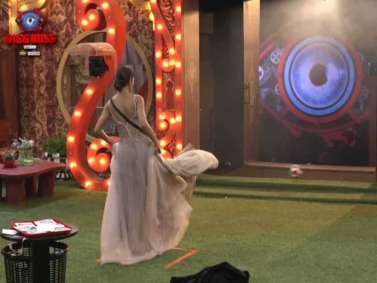 2 Wild card entries in Bigg Boss 16 this week, check names