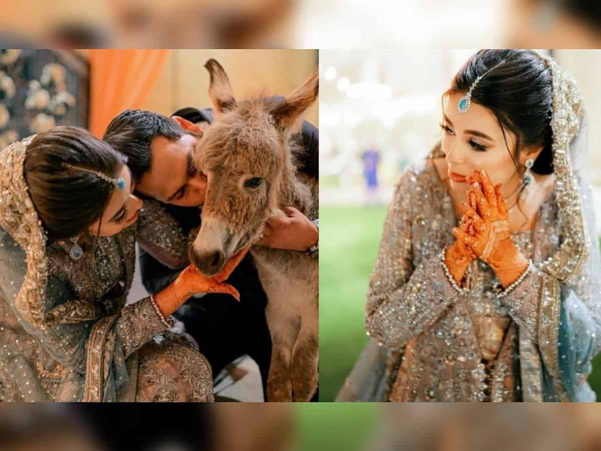 Watch: Pakistani groom gifts bride a donkey on their wedding day; Know why here