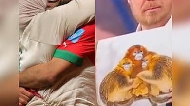 Danish TV hosts compares Moroccan footballers with monkeys, for hugging their mothers