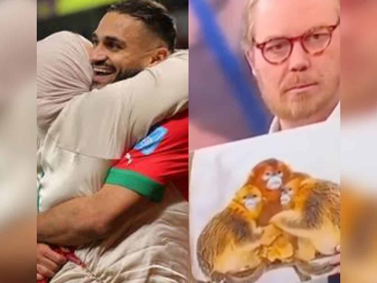 Danish TV hosts compares Moroccan footballers with monkeys, for hugging their mothers