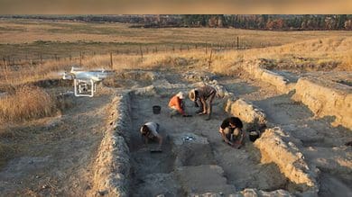 7000-year-old cotton fibres found in Israel