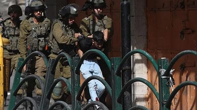 Palestinian stabs Israeli settler, killed: Israel.