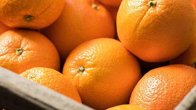 Oranges from Arunachal Pradesh reach UAE shores