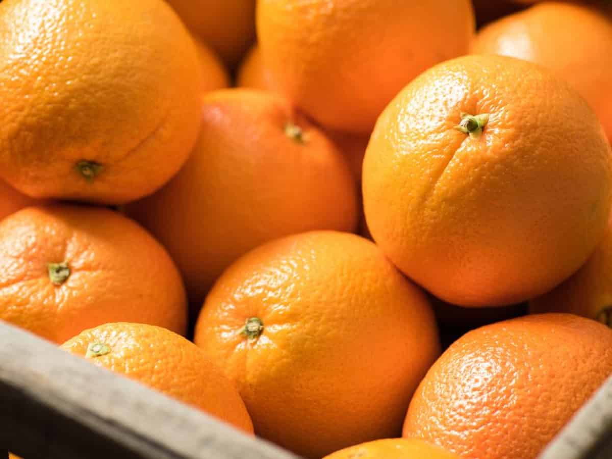 Oranges from Arunachal Pradesh reach UAE shores