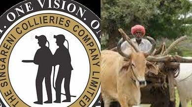Telangana: Farmer booked after his oxen urinate at SCCL GM office
